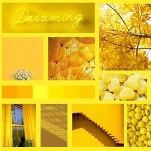 Meet your Posher, Jun